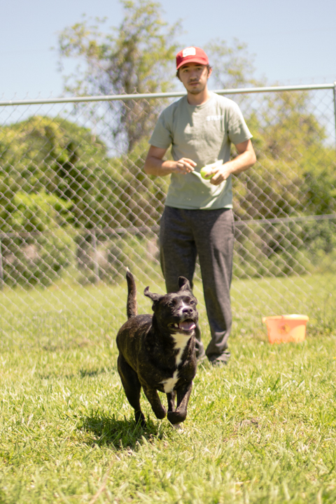 Corey Smith, lead kennel tech from Lumberton, plays with Marble the dog at the Humane Society of Southeast Texas, April 9, as a volunteer. UP photo by Noah Dawlearn