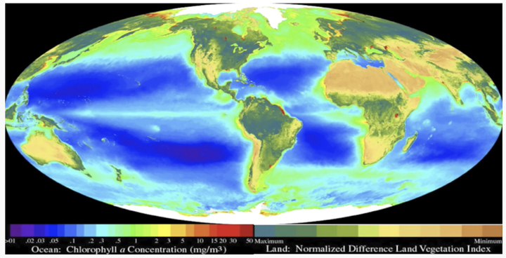 The Global Biosphere from Sea WiFs, compiled with a team including Compton Tucker, senior biospheric scientist for NASA/Goddard Space Flight Center, shows biological deserts in the oceans indicated by the dark blue areas.