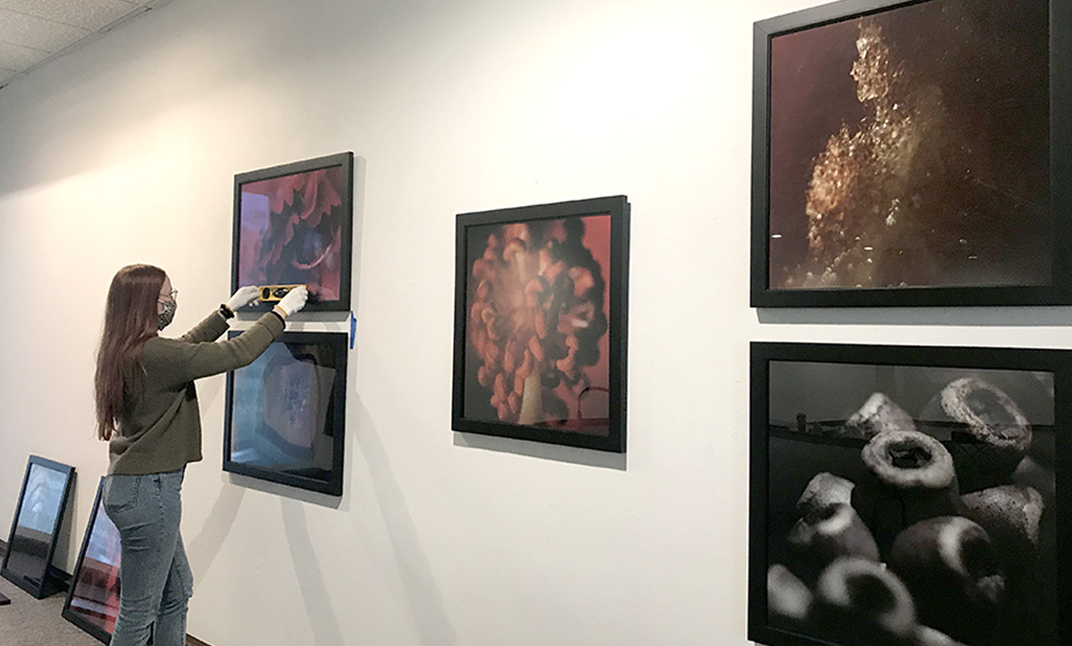Student assistant Mack Cumpian hangs work for the senior thesis show, "Anomalous."