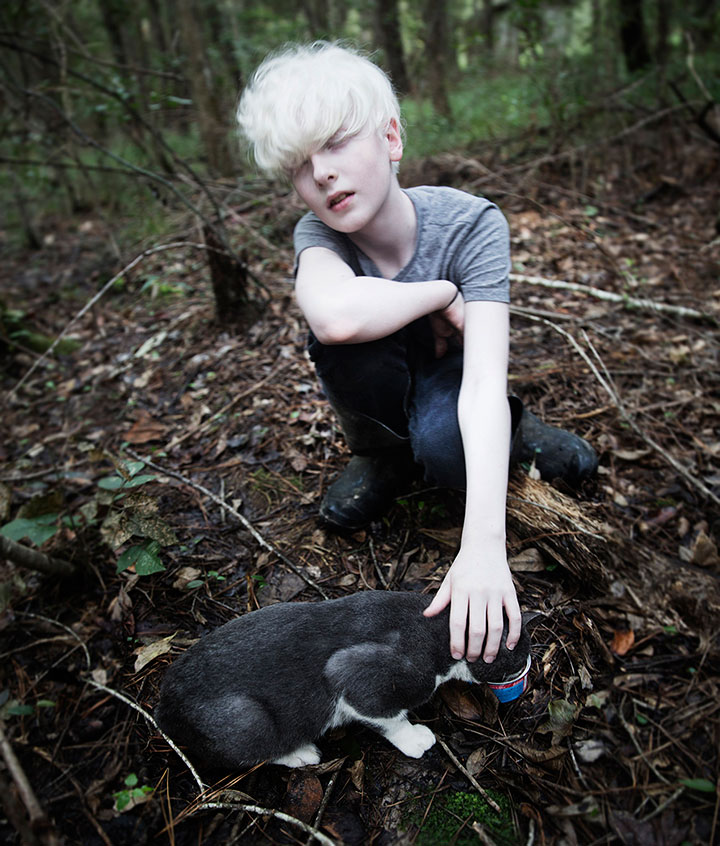 lost cat