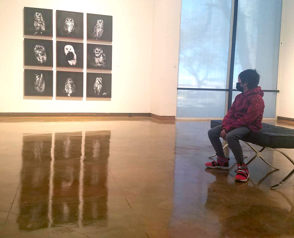 A visitor to the Dishman Art Museum looks at Keith Carter's series of owl photographs, titled "Nocturne."