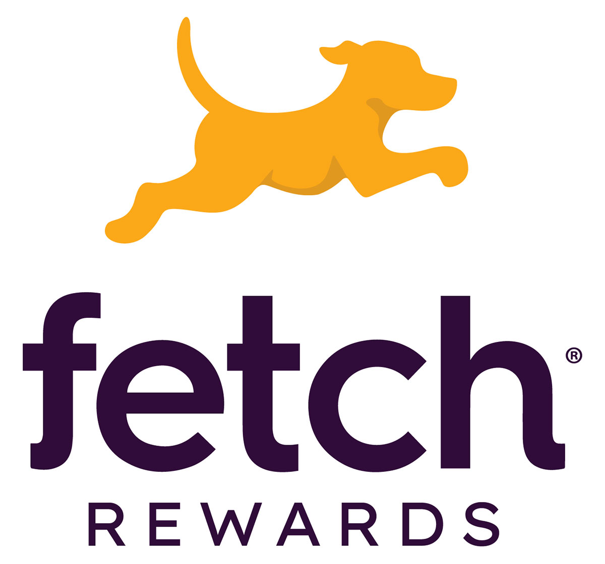 fetch