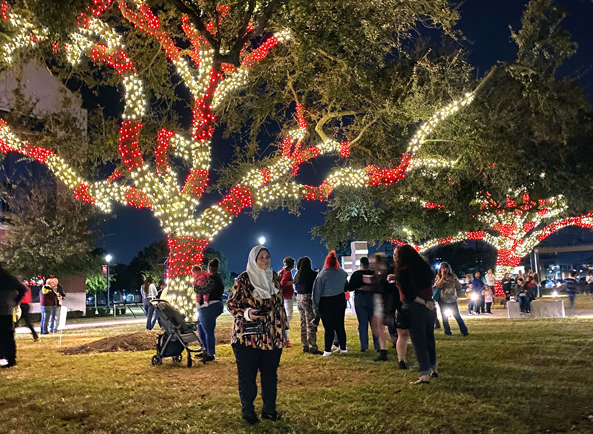 cardinal lights