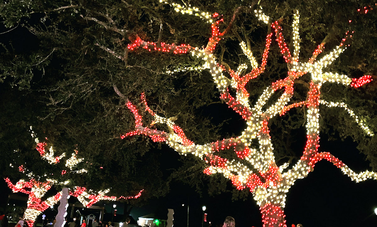 LU Cardinal Lights signal start of holidays