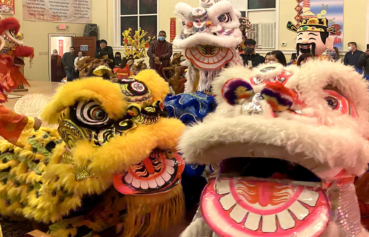 Dancing tigers
