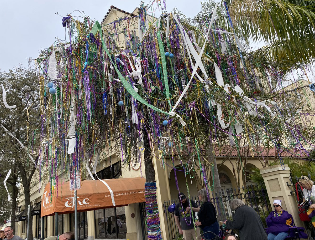 Beads hang from a tree during New Orleans Mardi Gras, Feb. 26. UP photo by Maddie Sims