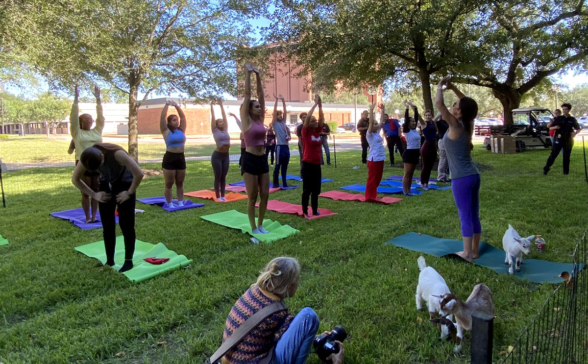 Students stretch at the Goat Yoga Session. UP photo by Maddie Sims.