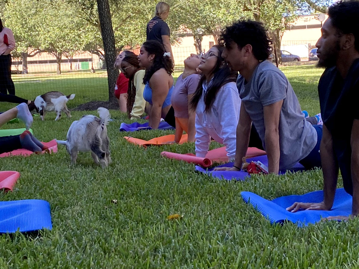 Students stretch as baby goats run around. UP photo by Maddie Sims.