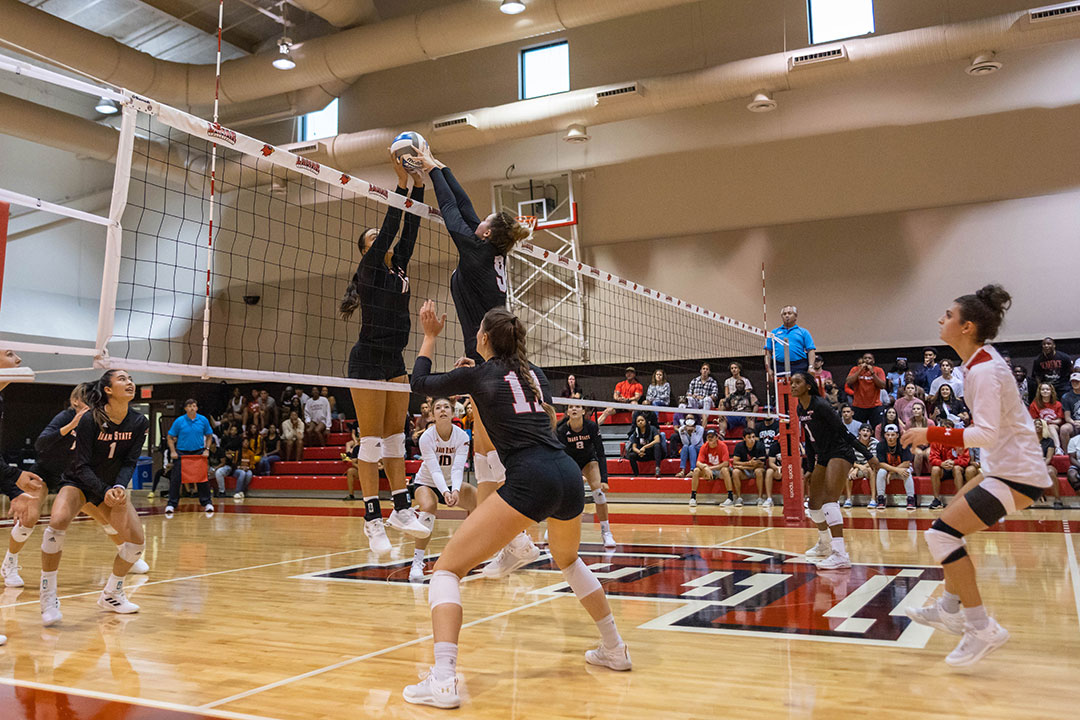 LU volleyball falls in season opener