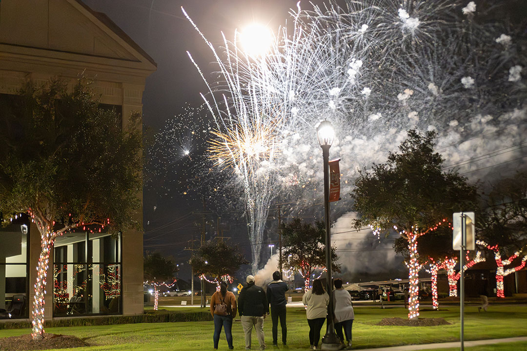 The crowd stands as the fireworks show go off after turning on the Cardinal Lights at the Reaud Building, Dec. 6. UP photo by Brian Quijada.