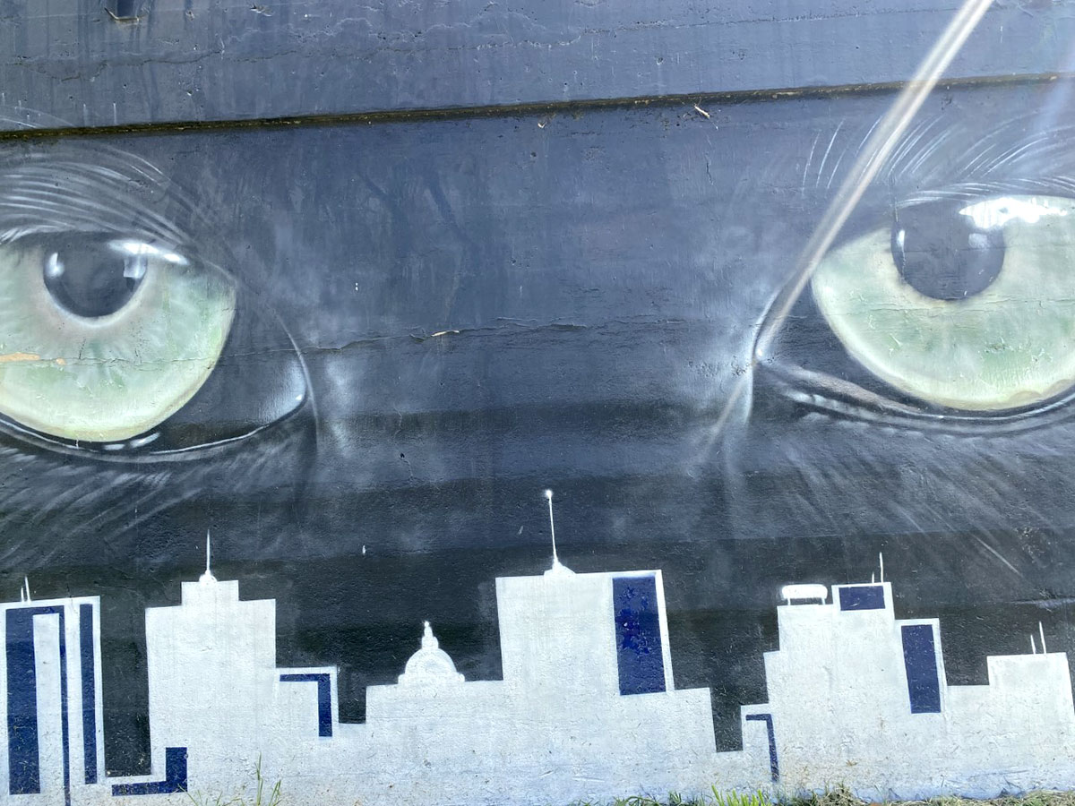 The Panther Island Pavilion mural. UP photo by Maddie Sims.