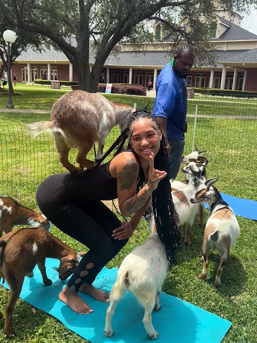 goat yoga