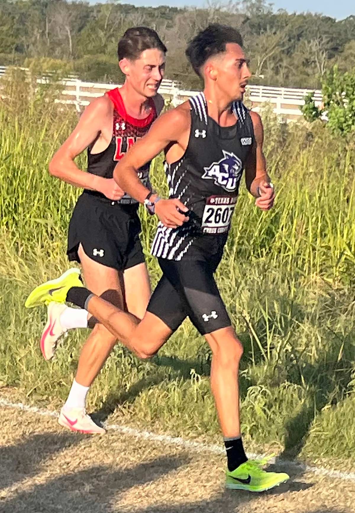 male xc