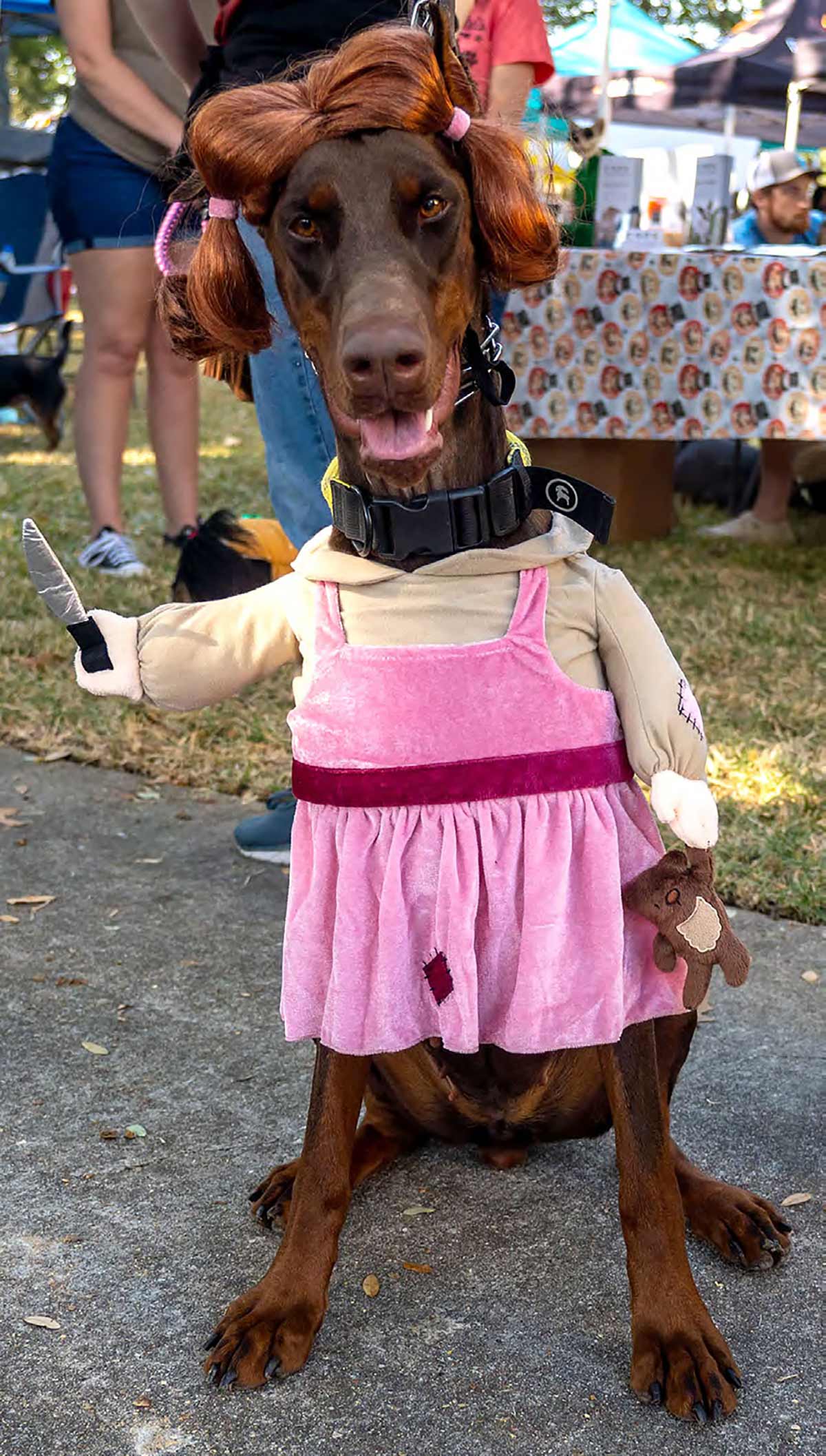 pawsome9