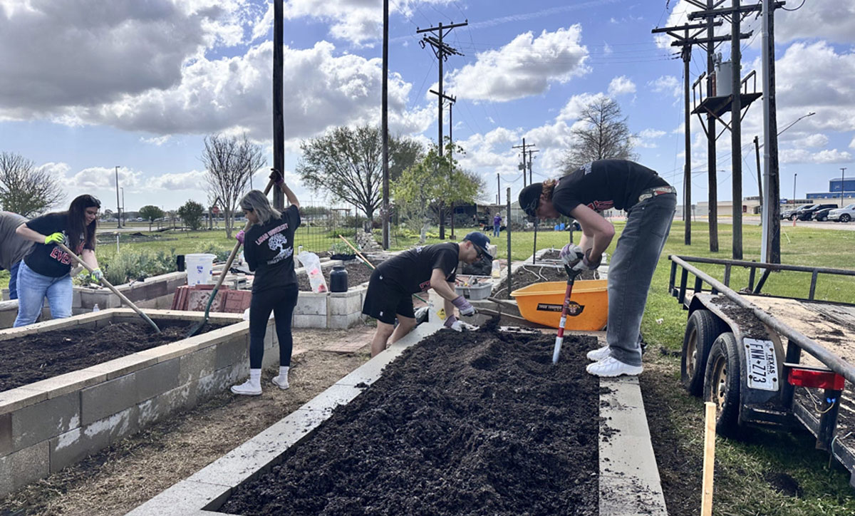Cardinals in Service