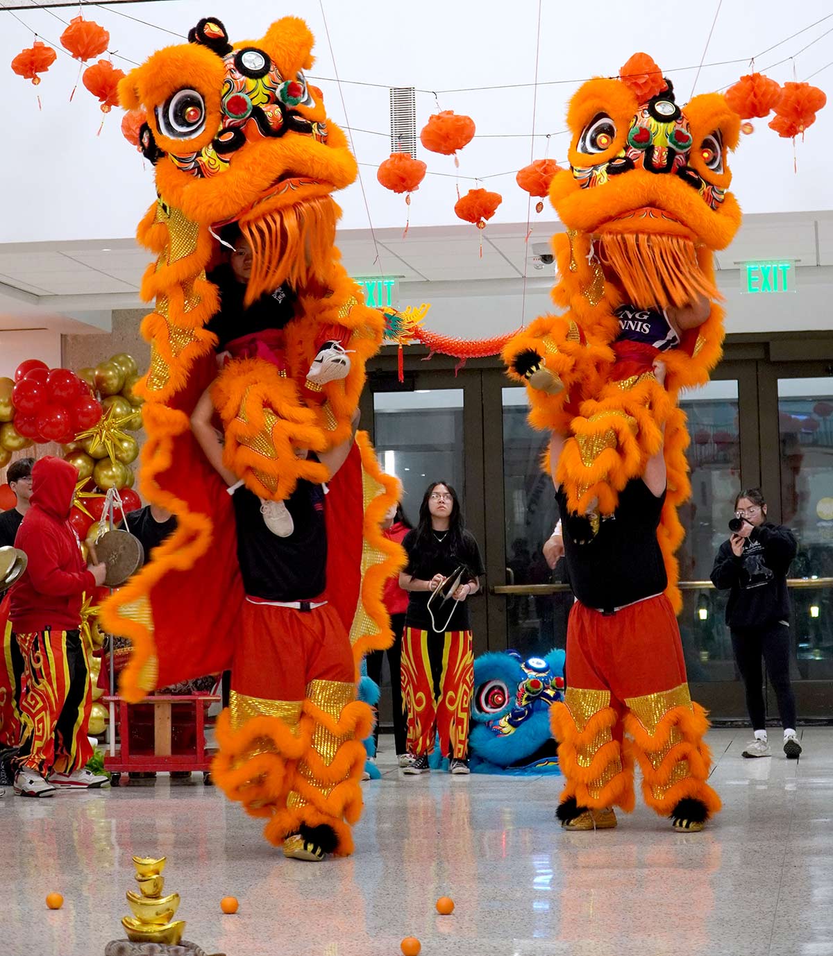 Orange Lion