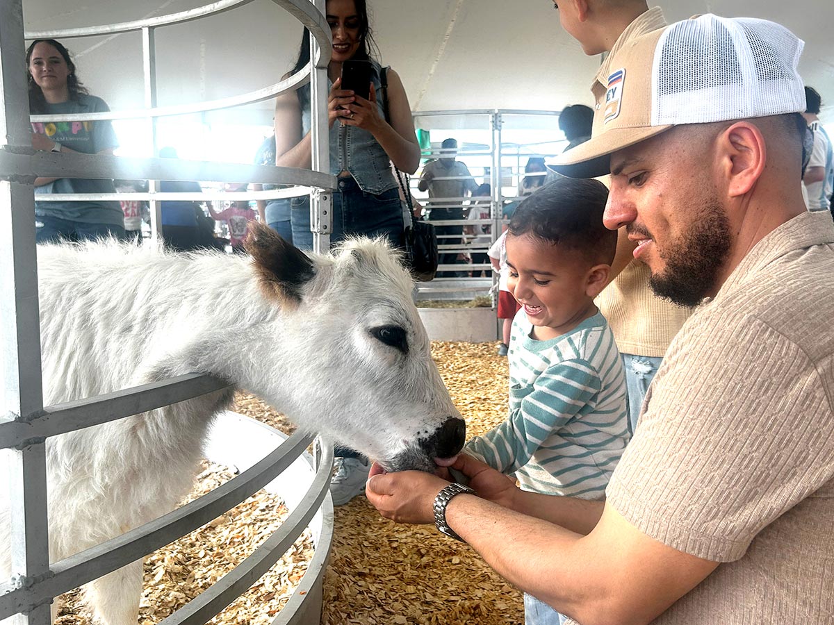 petting-zoo1