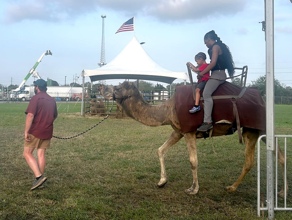 petting-zoo7