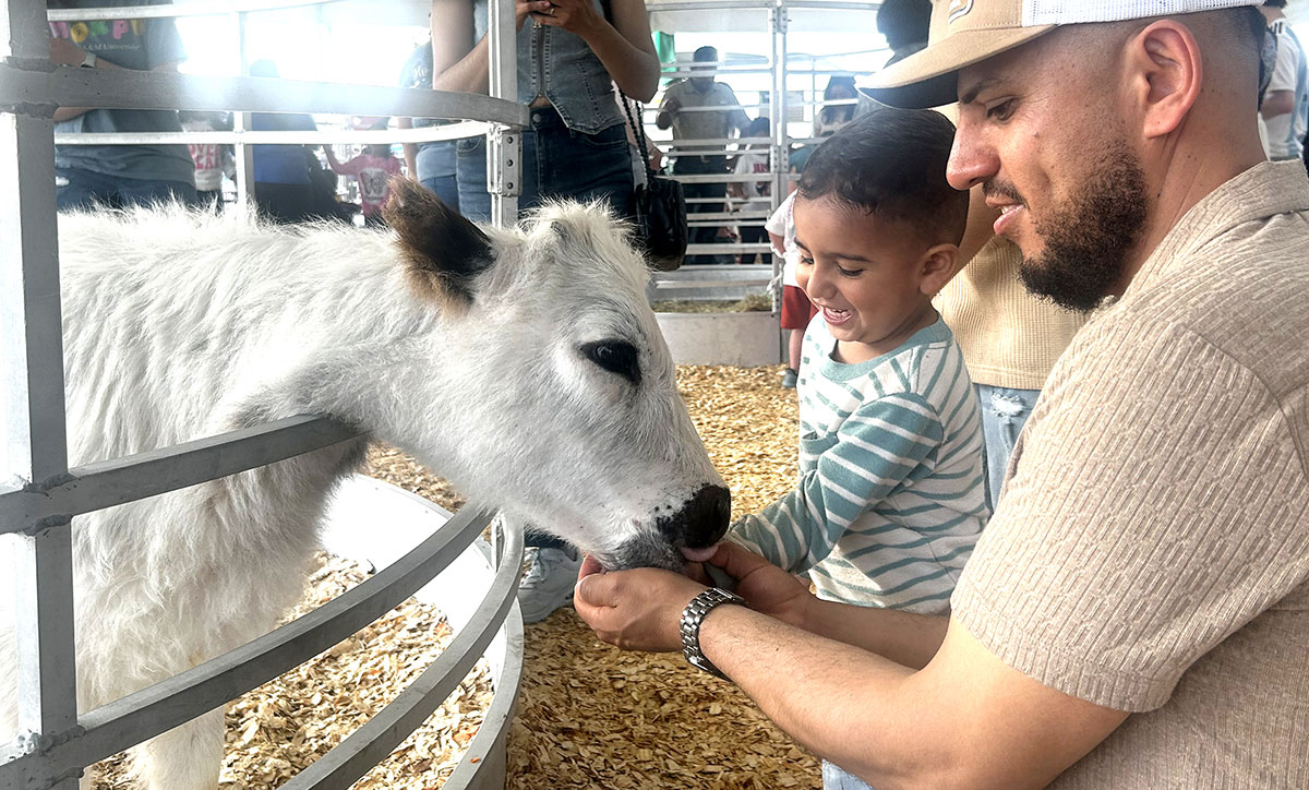 Close encounters of a cute kind