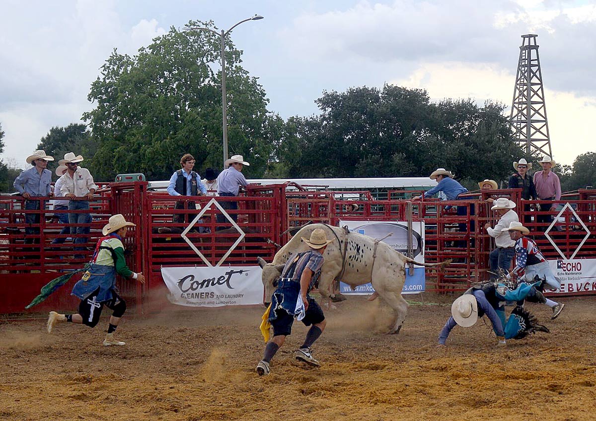 bull riding 