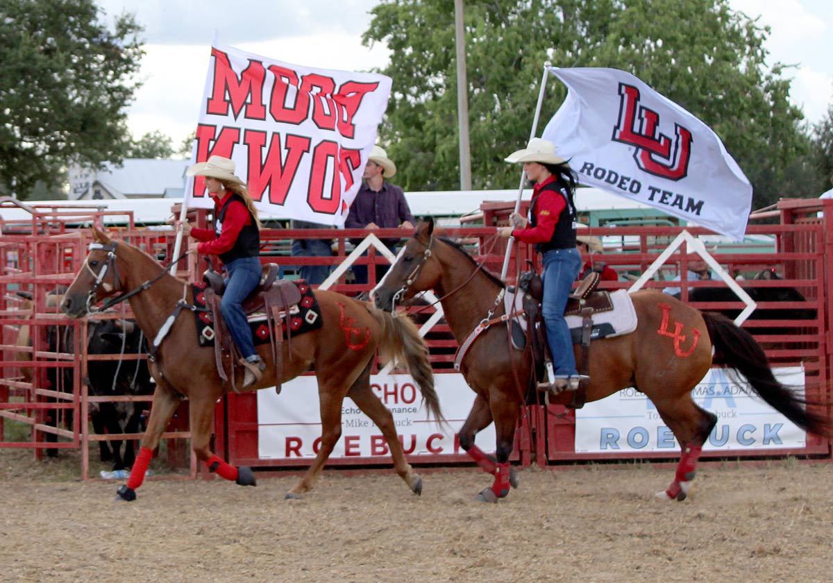 rodeo