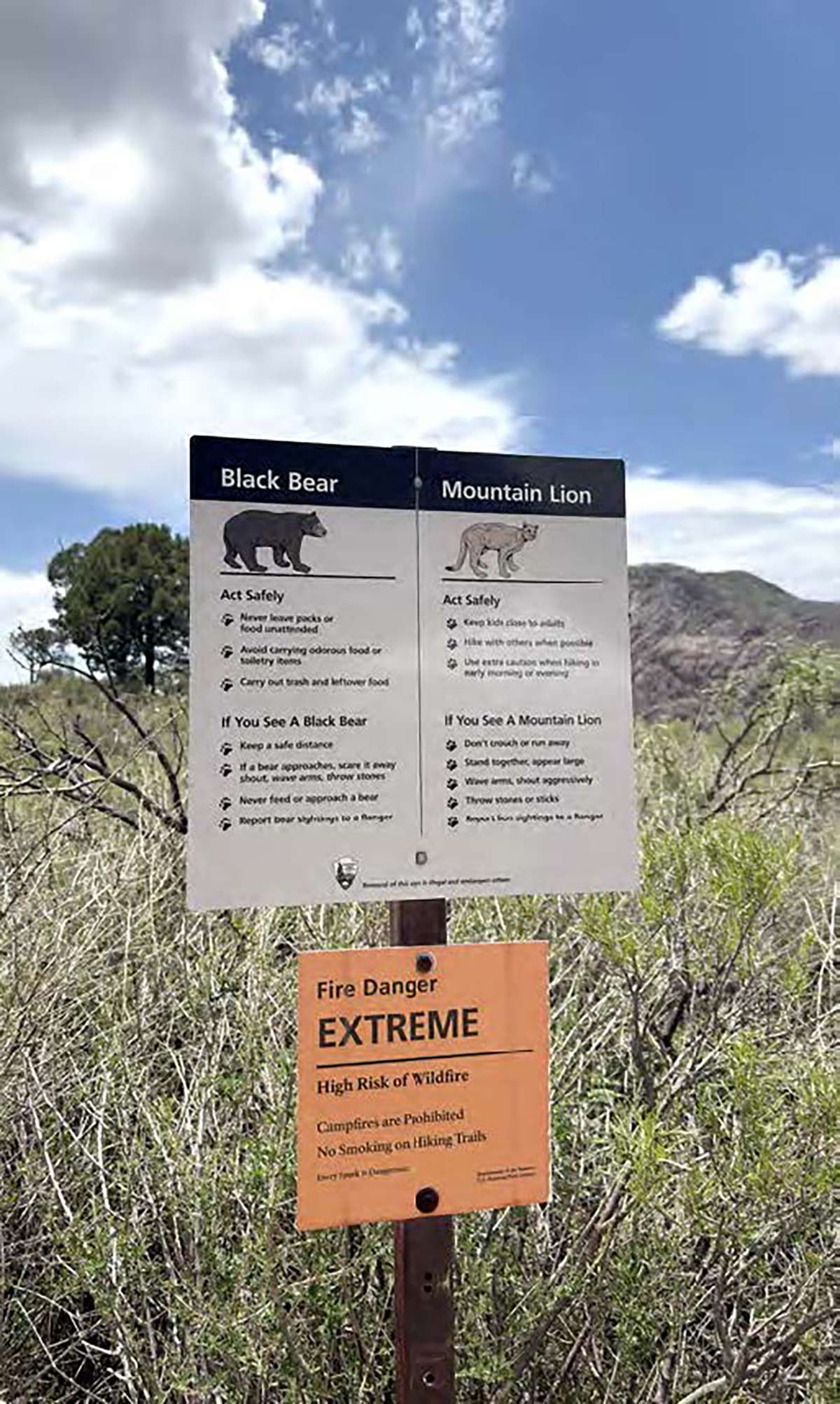 big bend
