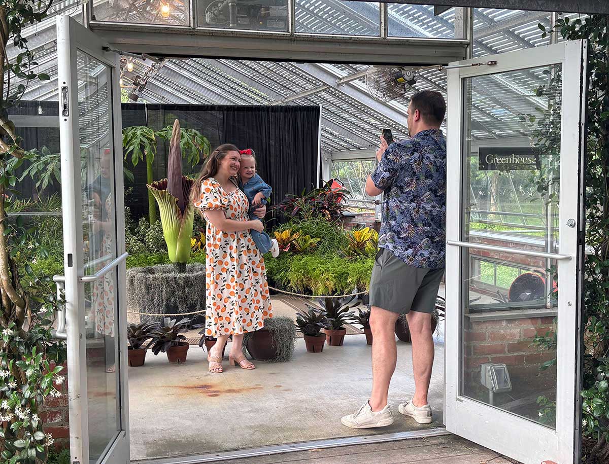 corpse flower