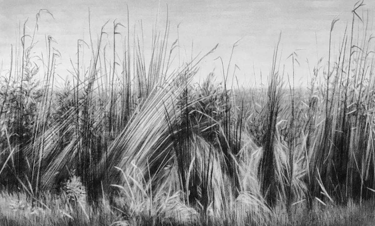 Artist Mazzu to lecture Oct. 2
