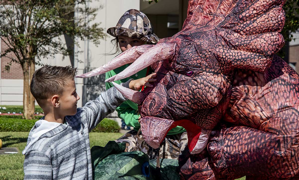 Diggers, Dancers, Dinos and Bugs
